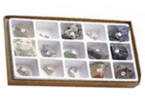 Image of General Fossil Collection