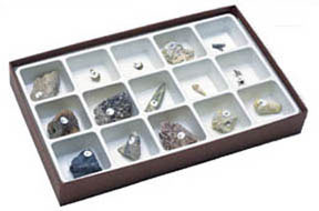 Image of Paleozoic Fossil Collection