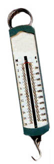 Image of Spring Scales