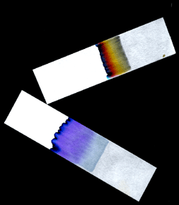 Image of Chromatography Paper - 10 ft roll