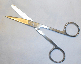 Image of Dissecting Scissors