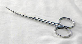Image of Iris Curved Dissecting Scissors