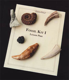 Image of Fossil Kit I