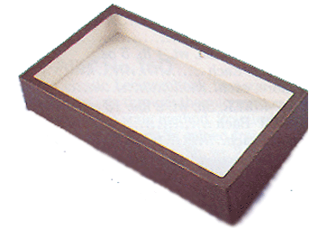 Image of Insect Exhibit Box
