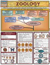 Image of Zoology - Study Guide