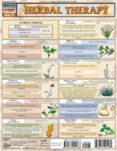 Image of Herbal Therapy - Study Guide