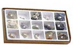 Thumbnail of General Fossil Collection | Click to see enlarged image