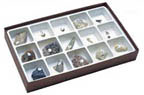 Thumbnail of Paleozoic Fossil Collection | Click to see enlarged image