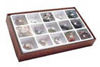 Thumbnail of Mesozoic Fossil Collection | Click to see enlarged image