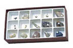 Thumbnail of Cenozoic Fossil Collection | Click to see enlarged image