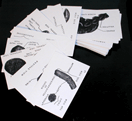 Thumbnail of Deck of 50 fossil cards | Click to see enlarged image