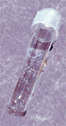 Thumbnail of Plastic Test Tube | Click to see enlarged image
