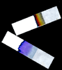 Thumbnail of Chromatography Paper | Click to see enlarged image