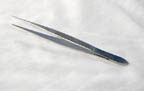 Thumbnail of Dissecting Forceps - Fine, Straight | Click to see enlarged image