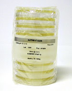 Thumbnail of Nutrient Agar Plates | Click to see enlarged image