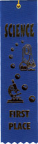 Thumbnail of First Place: Finished Top | Click to see enlarged image