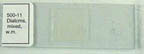Thumbnail of Diatoms - mixed - w.m. | Click to see enlarged image