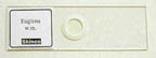 Thumbnail of Euglena - w.m. | Click to see enlarged image