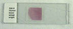 Thumbnail of Blood Smear, Wright's stain - human | Click to see enlarged image