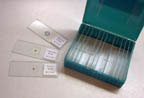 Thumbnail of Microbial World | Click to see enlarged image