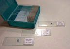 Thumbnail of Basic Botany | Click to see enlarged image